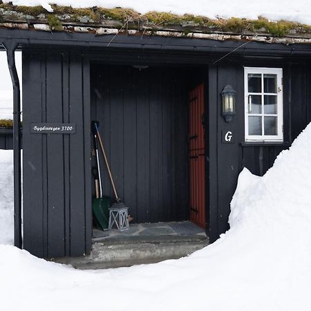 Bitigrenda G Villa Beitostolen Buitenkant foto